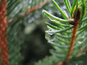 IMG_1289.jpg