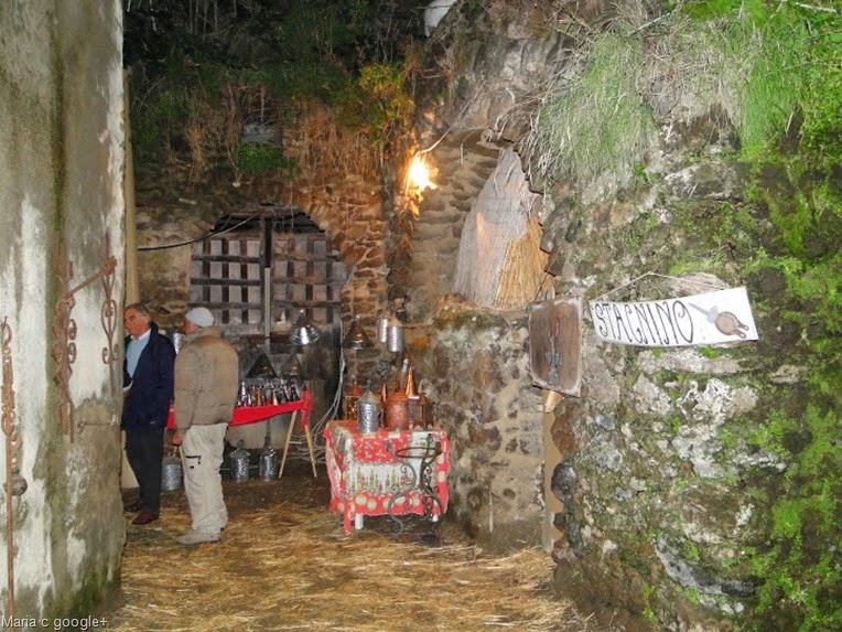 DSC02485 DSC02485