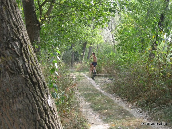 basarbovo-27.jpg