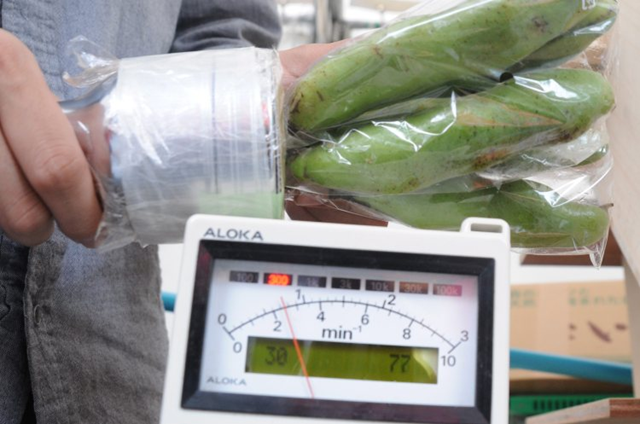 Some crops grown near the crippled Fukushima nuclear power plant are not too radioactive to eat, according to Japanese scientists. Radiation in the soil is mainly contained and can be treated, they say. In this photo, students at Tokyo University measure radiation from vegetables grown near Fukushima. EPA / TOMOYUKI KAYA