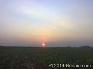 [Photo0220%255B2%255D.jpg]