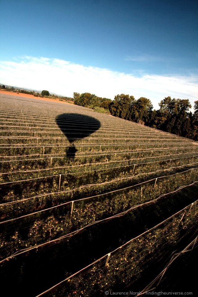 [Landing-in-a-peach-field1%255B2%255D.jpg]