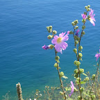 KotorMontenegro KotorMontenegro