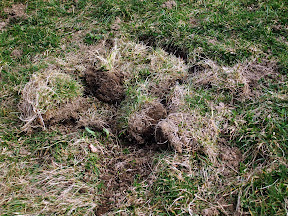 DSCF0492.jpg