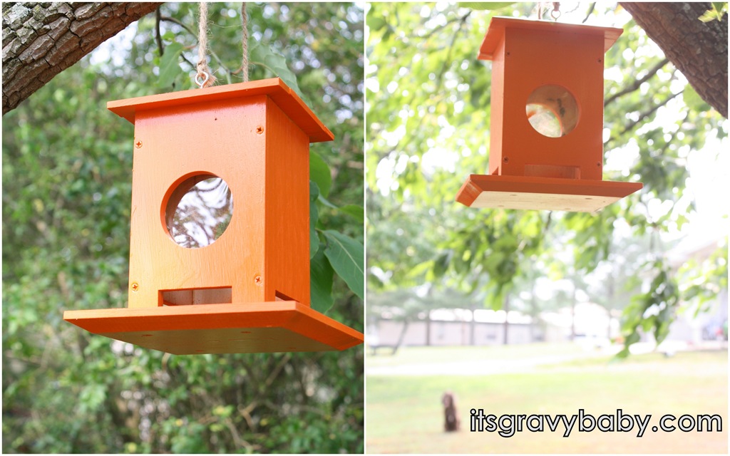 [Red%2520Toolbox%2520Bird%2520Feeder%255B4%255D.jpg]