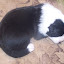 100_0136.jpg