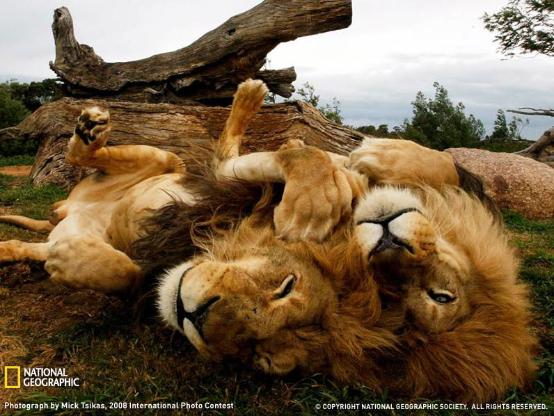 PHOTOS FROM NATIONAL GEOGRAPHIC