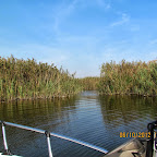 IMG_8028.JPG