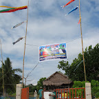 IMG_3036.jpg