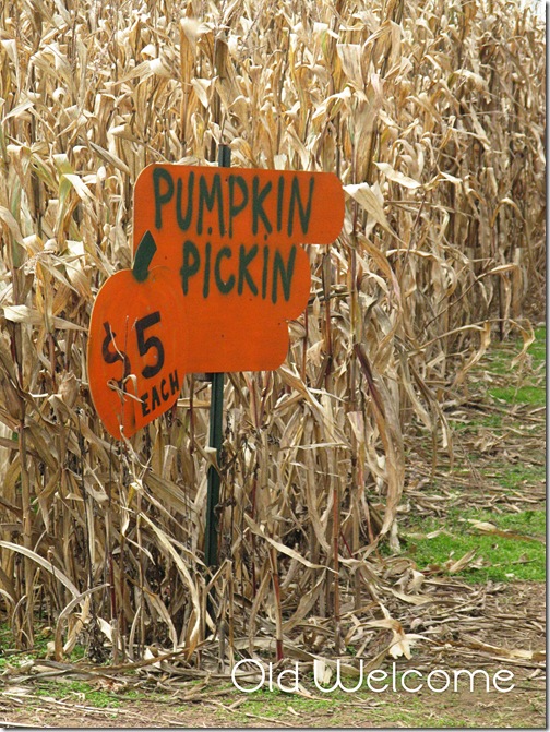 pumpkin sign