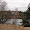 dsc05223.jpg