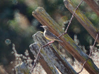 DSC_7578.jpg