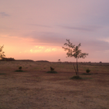 View album