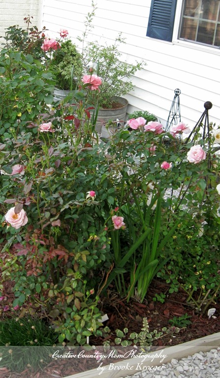 [IMG_4102%255B2%255D.jpg]