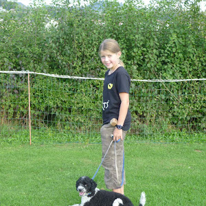 Inu Jugend und Hund