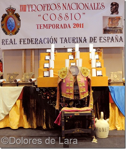 &copy;Dolores de Lara (2)