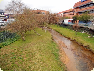 DSCN0031