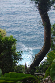 DSC_0789.jpg