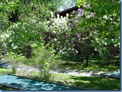 IMG_4453 IMG_4453