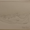 20080509_IMG_4350.jpg