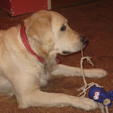 Listopad 2010