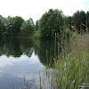 dsc02864.jpg