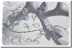 maggarlandclear