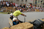 DSC06866-1.JPG