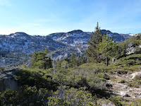 P1000337.JPG