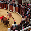 corrida_picassiana_11.jpg