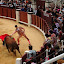 corrida_picassiana_11.jpg
