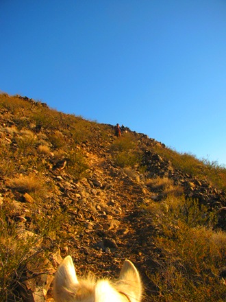 [IMG_8435%255B9%255D.jpg]