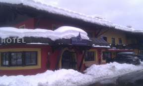 IMAG0231.jpg