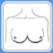 Женщины, обладающие такой формы груди