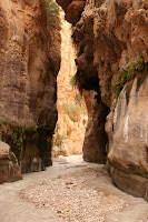 IMG_8551.JPG Photo
