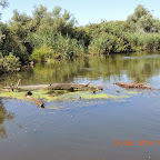 DSCN4179.JPG