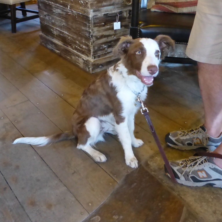 [HCH%2520customer%2520Crystal%2520Harling%255B4%255D.jpg]