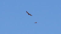 DSC02865.jpg