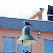 hokkaido_204.jpg