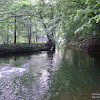dsc03030.jpg