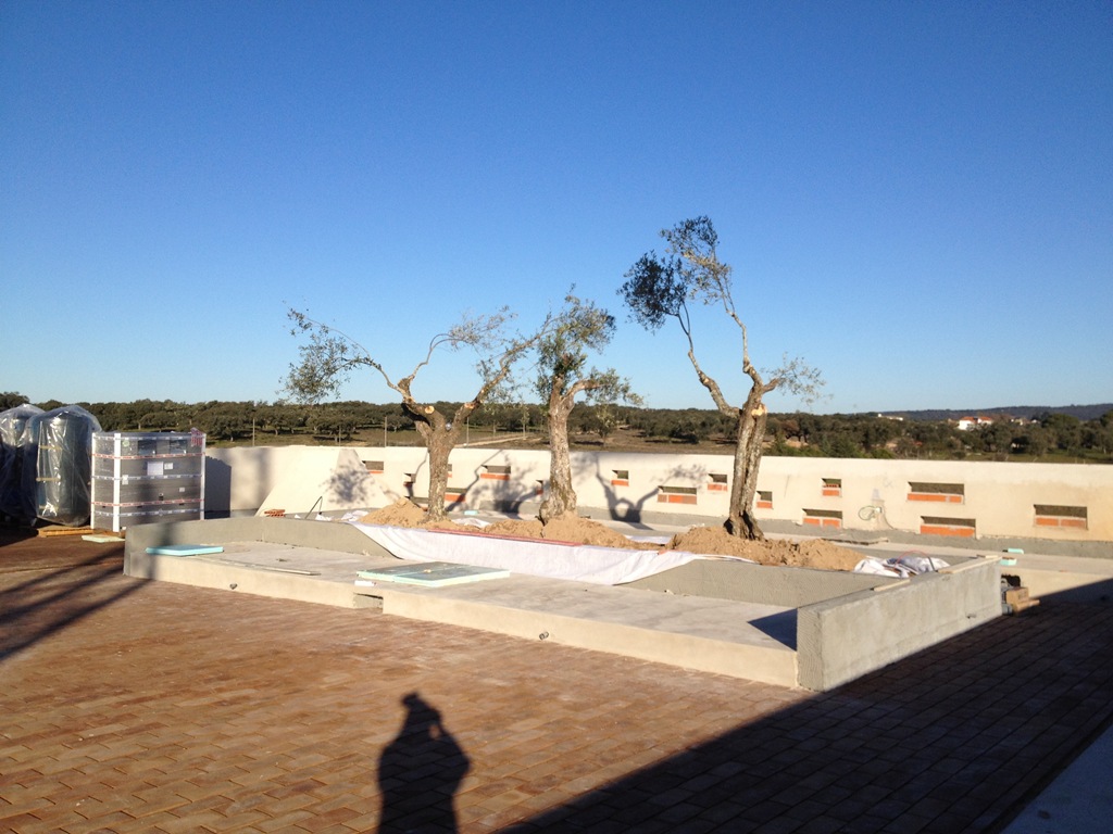 [IMG_0281%255B3%255D.jpg]