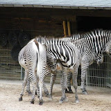 Zootour Teil 4