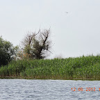 DSCN0261.JPG