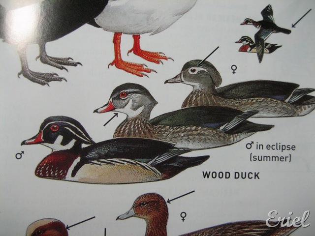 [gG%2520084%255B8%255D.jpg]