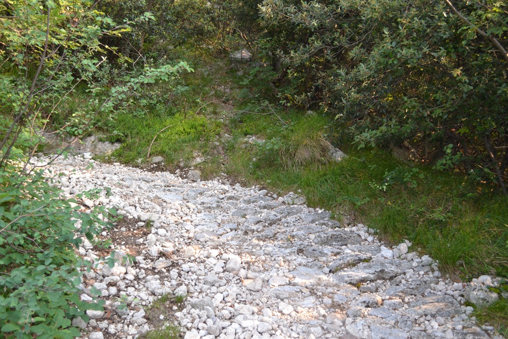 [DSC_15993.jpg]