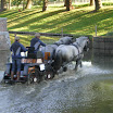 DSCN4853.JPG