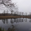 dsc04567.jpg dsc04567.jpg