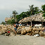 A restaurant by the beach, offering typical chicken/fish, rice and Arepa. Menu del dia at its finest.