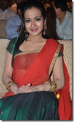 Actress Catherine Tresa in Saree At Srimannarayana Audio Launch