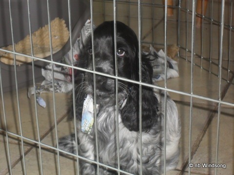 [20120804b-001%255B4%255D.jpg]